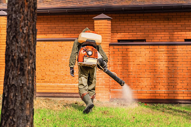 Trusted Emergency Pest Control service in Ray City, GA - Nex Pest Control